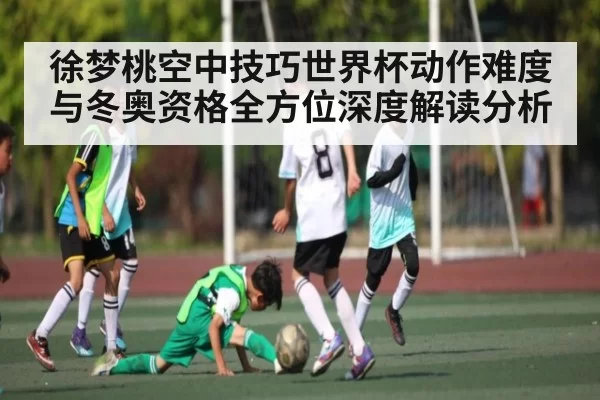 徐梦桃空中技巧世界杯动作难度与冬奥资格全方位深度解读分析